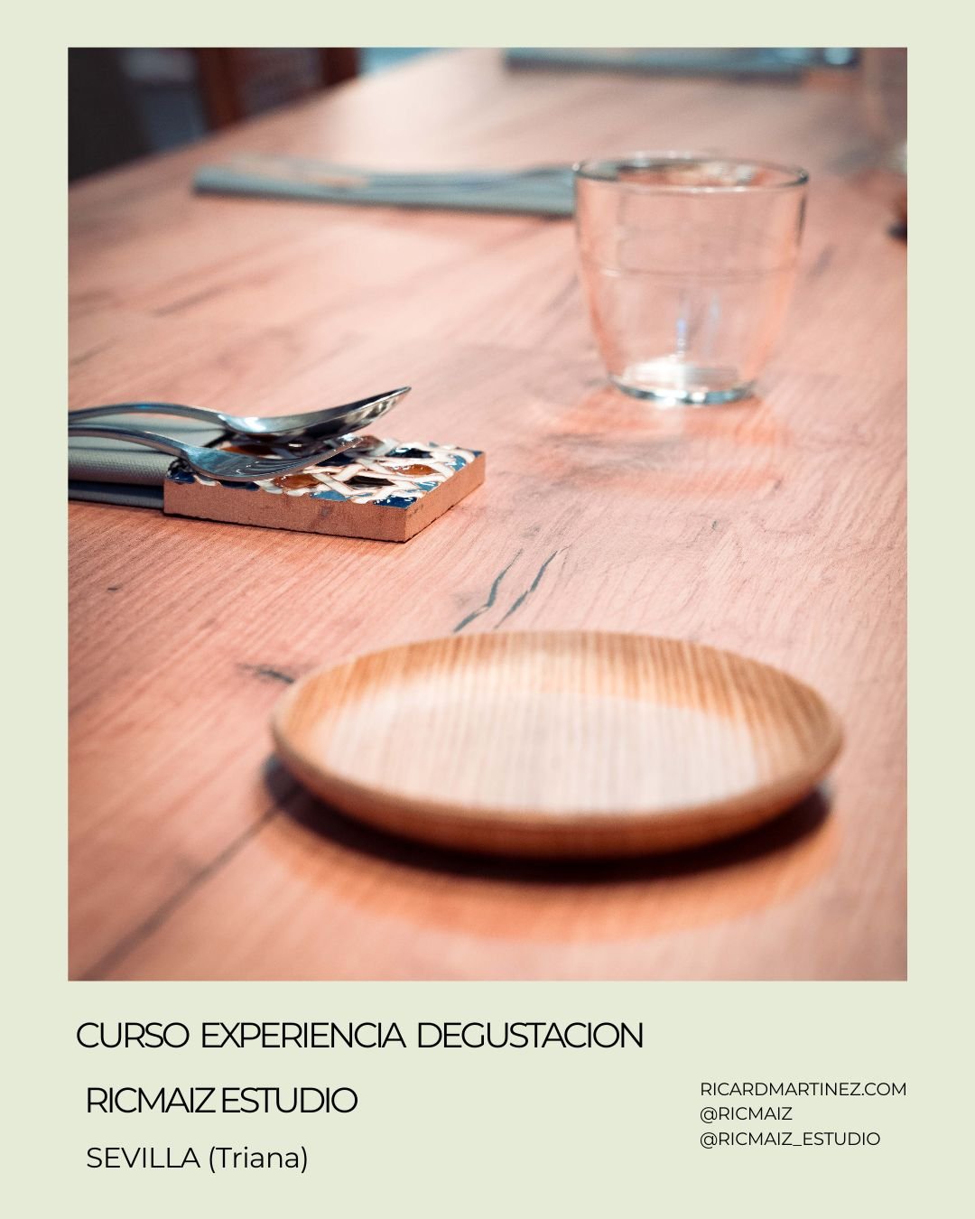 CURSO EXPERIENCIA DEGUSTACION